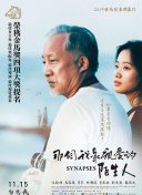 玩转长安幻世绘：新手必看玩法指南